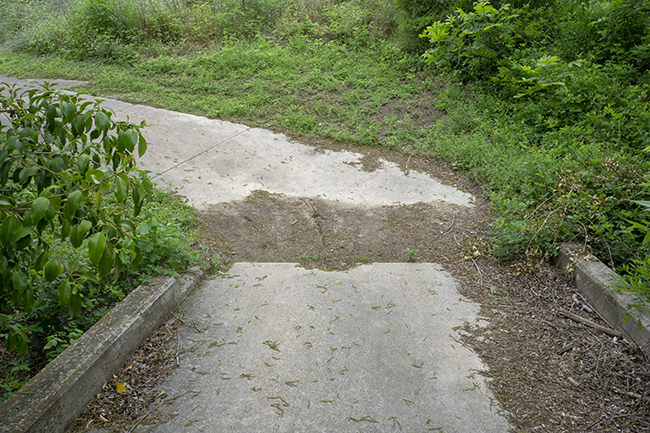 Photograph of mud-filled dip that Schwalbe Big Apple tires will slip in.